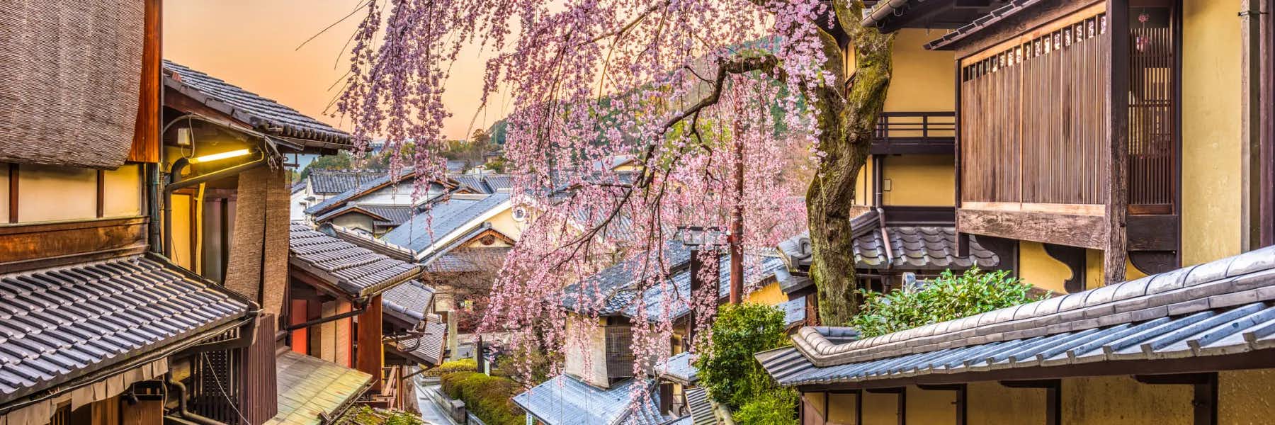 Discovering Traditional Japan in the City of Kyoto