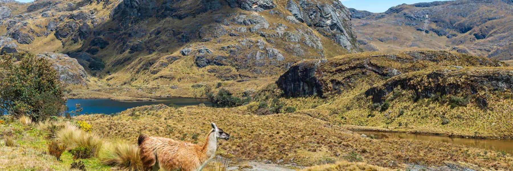 Exploring Cuenca’s Backyard: An Expat’s Guide to Cajas National Park - IL