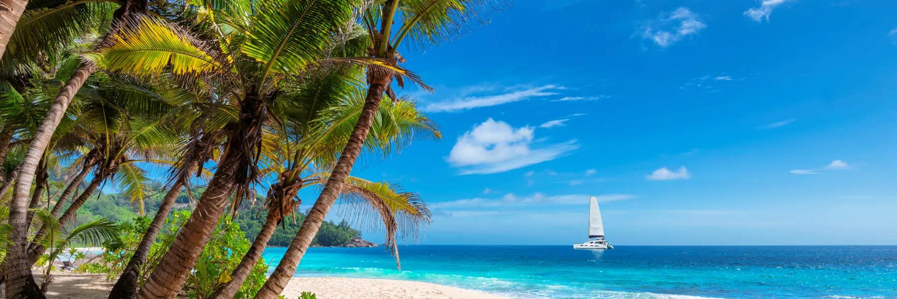 Why Expats Choose the Caribbean for Total Health