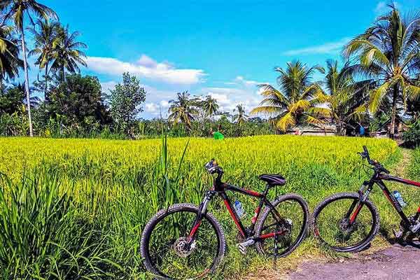 Ubud, Bali
