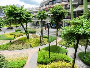 At the popular Ayala Mall you'll have your pick of a wide variety of international restaurants, as well as some of the best shopping in the Philippines.