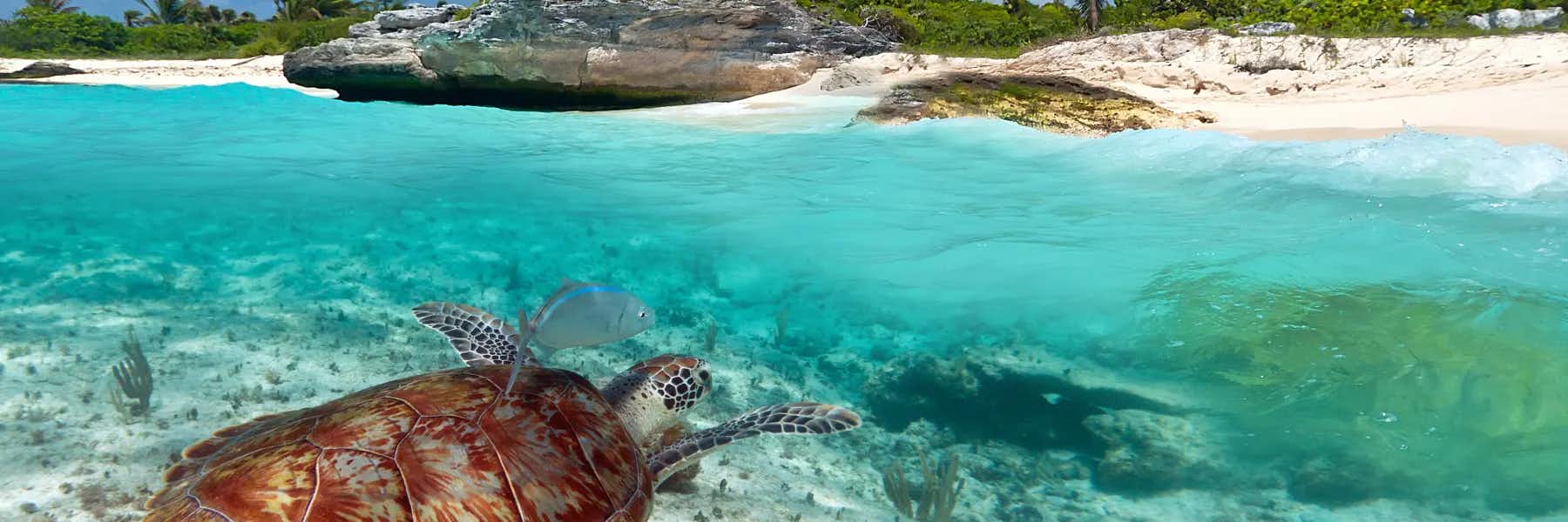 12 Best Destinations to Retire on Mexico’s Caribbean Coast