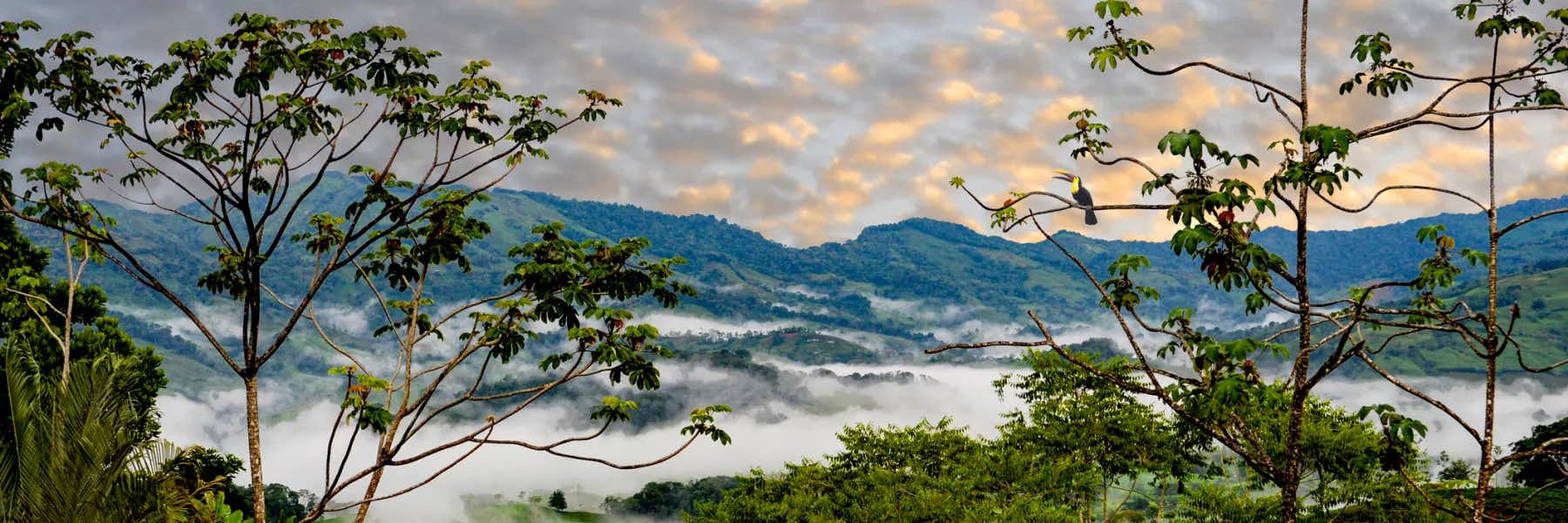 The Best Places to Buy in Tropical Costa Rica