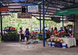 In Costa Rica, Greg can buy his weekly groceries for a fraction of the price he would pay in the U.S.