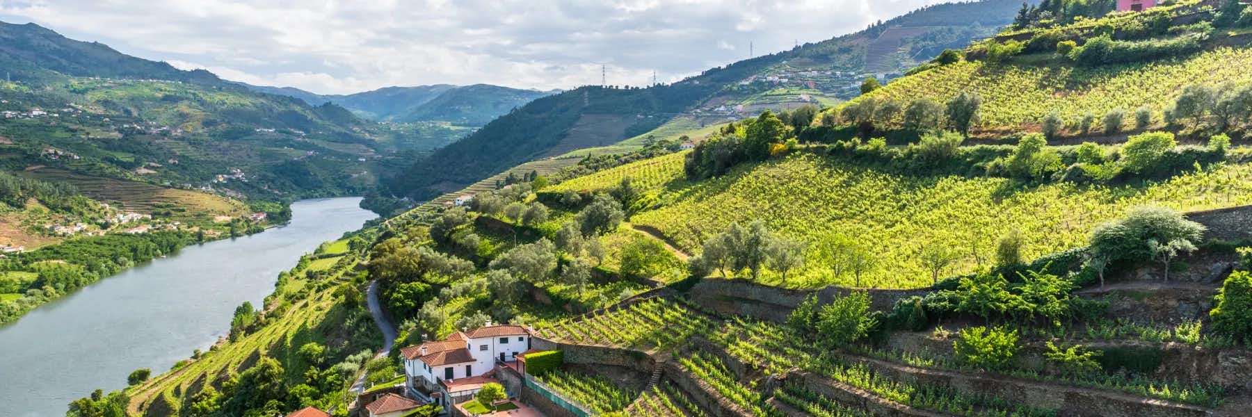“We Bought Our 17-Acre Farm in Portugal for Under $225,000”