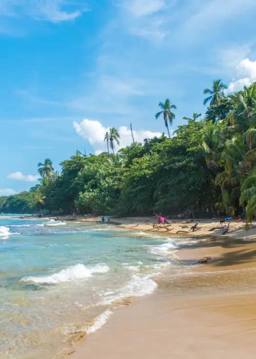 The 5 Best Beaches in Costa Rica
