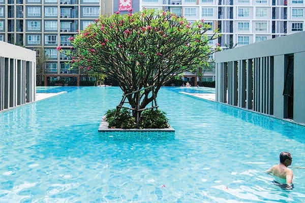 The best deals in Chiang Mai, Thailand, are to be found in slightly older, larger condos.