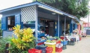 Grocery Shopping Isn’t Just an Errand in Belize
