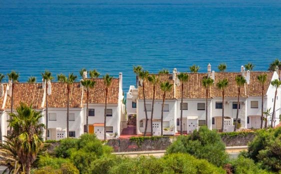 Quien césped exótico Renting in Spain - Our Guide to Short Term, Long Term, and Vacation Rentals  in Spain